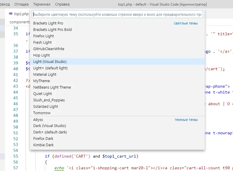Выбор темы оформления в Visual Studio Code Выбор темы оформления в Visual Studio Code