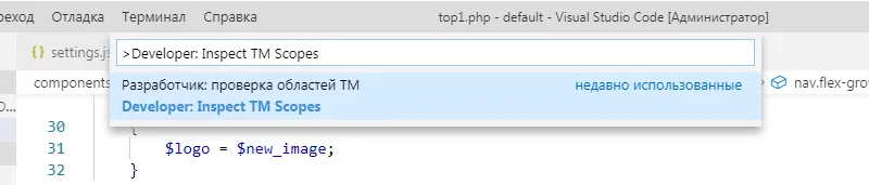 Инструмент Developer: Inspect TM Scopes Инструмент Developer: Inspect TM Scopes