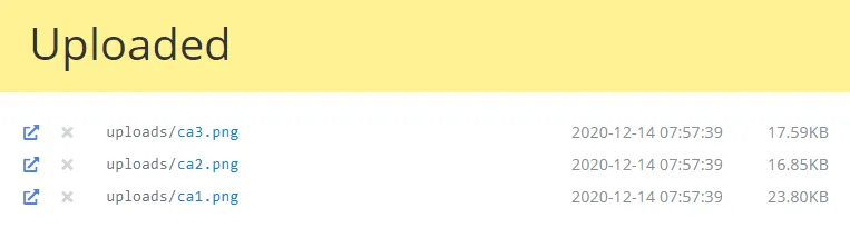 Загруженные файлы Загруженные файлы